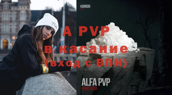 амф Белокуриха