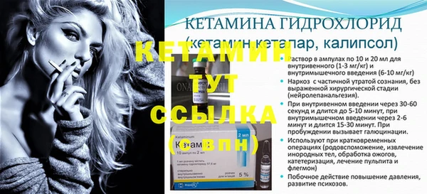 крисы Баксан